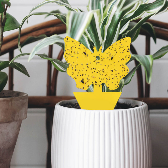 Hanging Yellow Fruit Fly Traps with Holes | Garsum®
