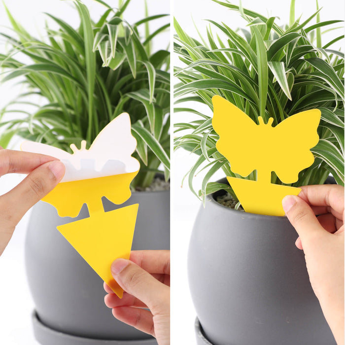 peel the cover paper and insert into the potted plant