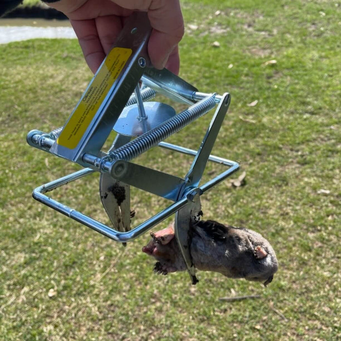 Best Mole Trap to Buy - Compare Top 3 